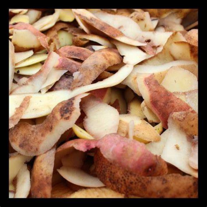 Are potato peels OK for worms?