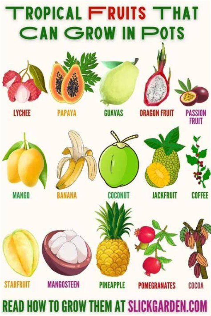 Can fruit grow in the ocean?