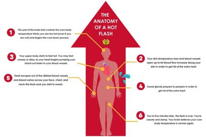 Do hot flashes affect the heart?