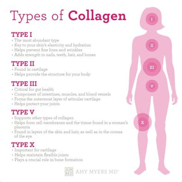Does collagen make your face fat?
