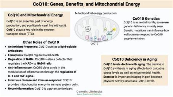 Does coq10 help autoimmune disease?