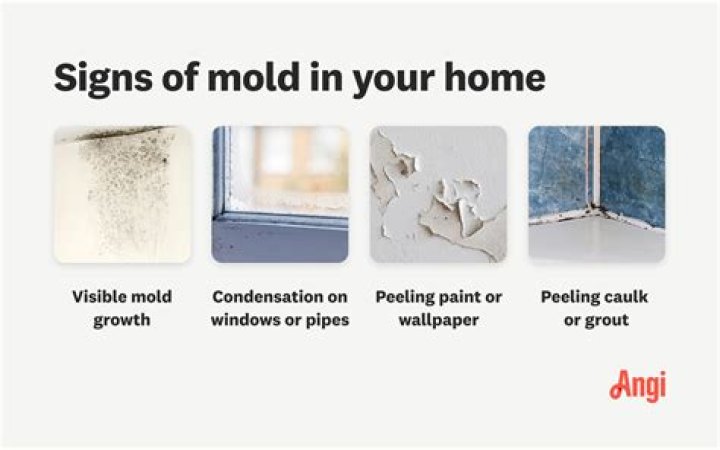 How can you tell if you have mold under your floor?