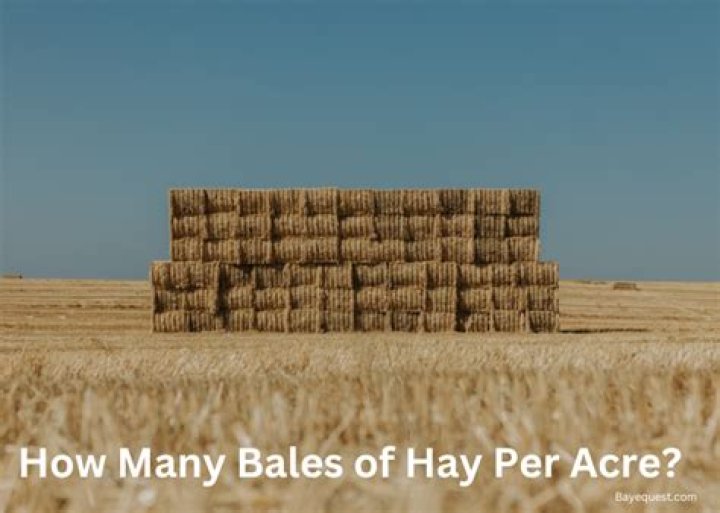 How many bales of hay can you get out of an acre?