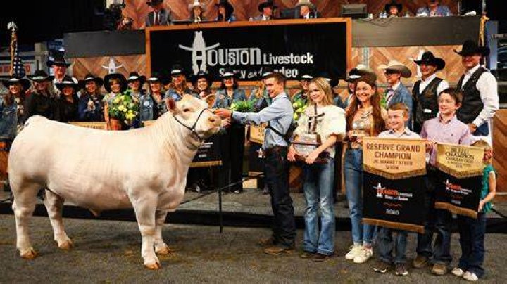 How much do rodeo champions make?