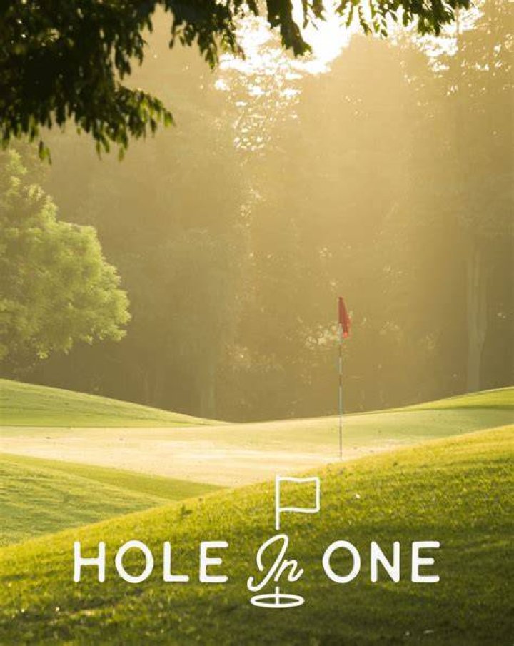 Is it a hole in one if you hit the flag?