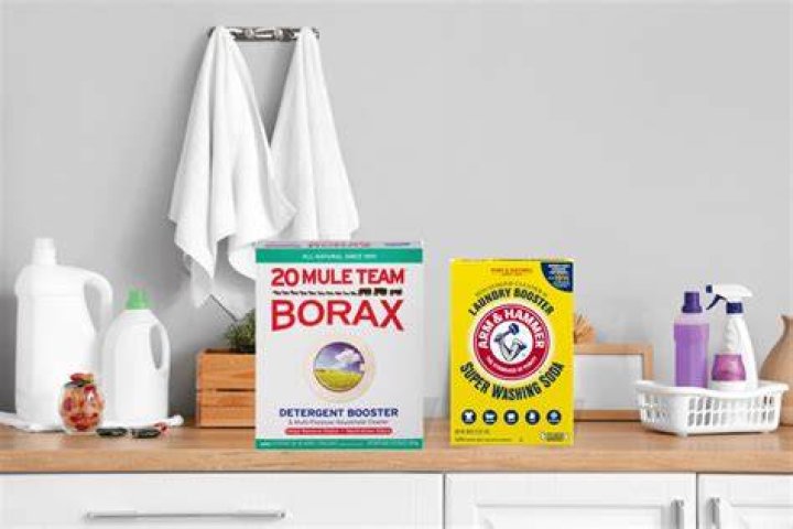 What's better for laundry borax or baking soda?