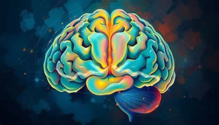 What causes jealousy in the brain?