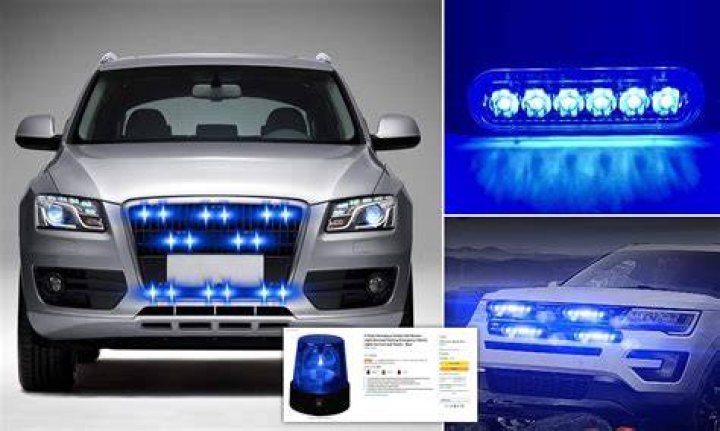 What do only blue police lights mean?