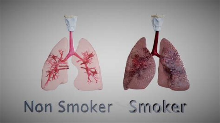 What does no smokers mean when renting?
