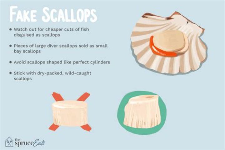 What percentage of scallops are fake?