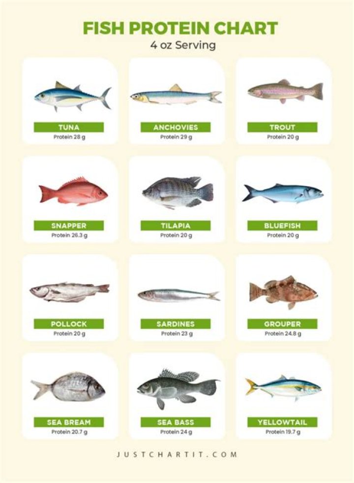 Which fish is highest in protein?